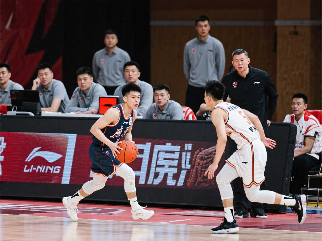 职业球员精 职业球员精