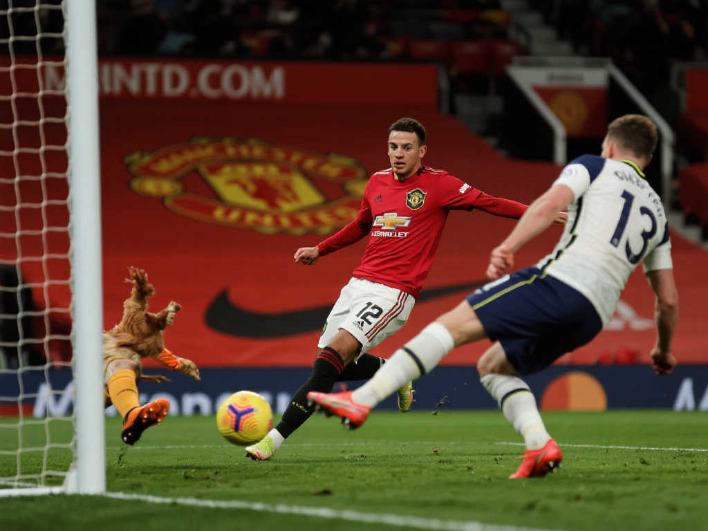 来自各方的 来自各方的